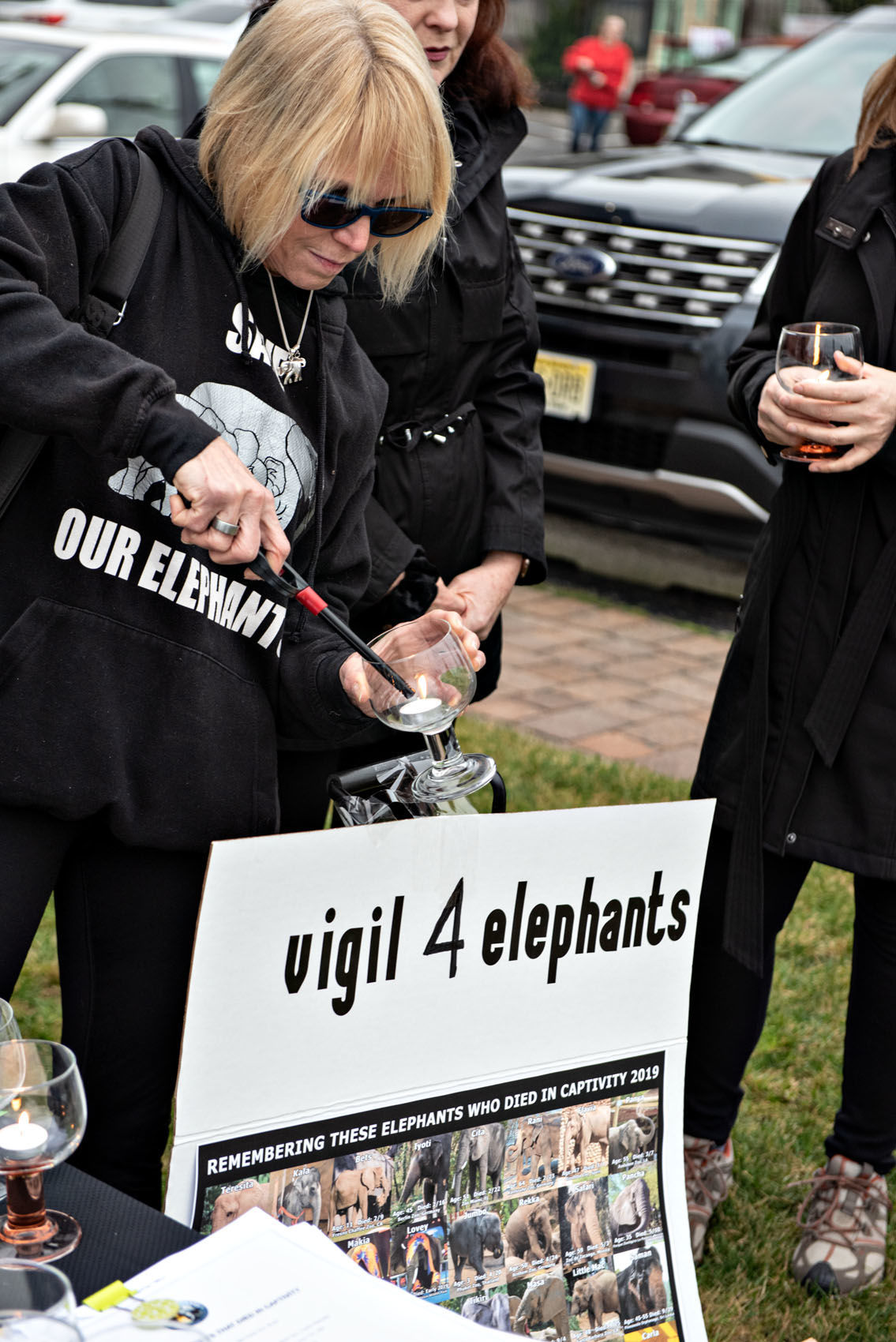 010520_nws_elephants